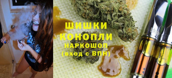 гидропоника Алзамай