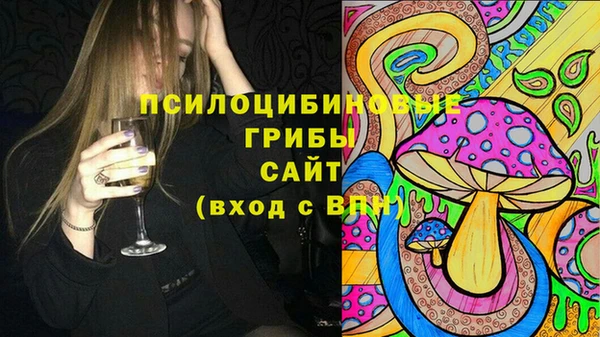 гидропоника Алзамай
