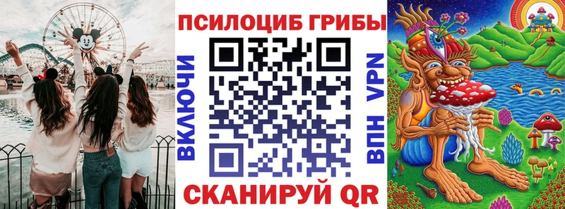 Псилоцибиновые грибы мицелий  купить  сайты  Данков 